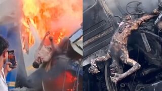 Two Drivers Burned Alive Trucks Collide Head-On in Bodies Charred Beyond Recognition