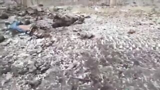 (Archive) Orc inspects damaged BMP-1 and destroyed crew