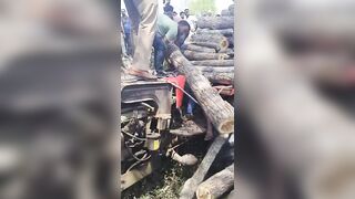 Tractor Owner Crushed By Pile Of Logs He Was Transporting