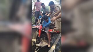 Tractor Owner Crushed By Pile Of Logs He Was Transporting