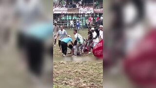 Fatal Bull Attack in Colombia