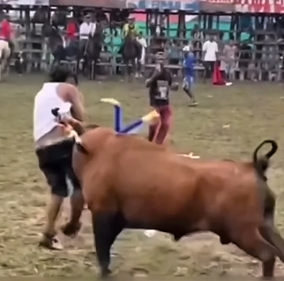 Fatal Bull Attack in Colombia