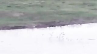 TOP war video of 2026