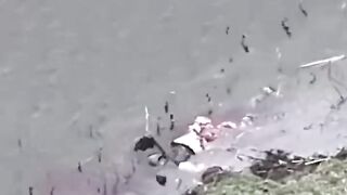TOP war video of 2026