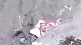 TOP war video of 2026