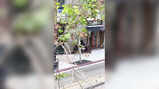 GOOD BOY! K9 Apprehends  Stabbing Suspect In California