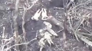 4 pedophile war criminals are executed.