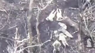 4 pedophile war criminals are executed.