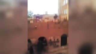 Young Man Killed, Brother Critically Injured in Sanaa Shooting Over Children's Disput