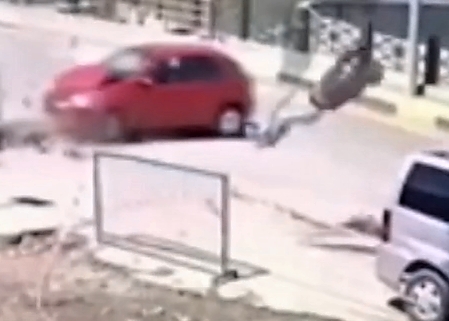 Fatal motorcycle accident