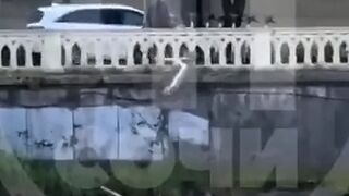 LoL "Someone must have pissed off the Russian"