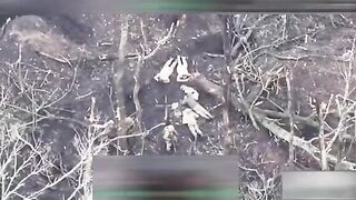 Orcs executed 4 surrendering mercenaries fighting on the UA side (full)