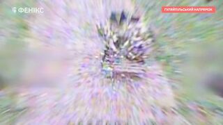 Extermination of Russhits by FENIX unit. Compilation.