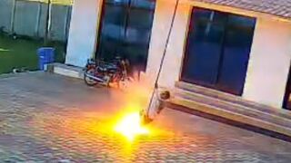 Hotel Worker Electrocuted to Death While Chasing Monkey with Iron Rod