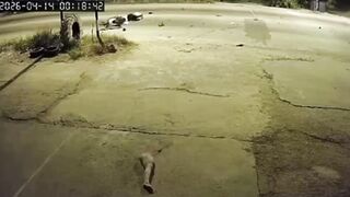 Motorcyclist Gets Leg RIPPED OFF