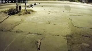 Motorcyclist Gets Leg RIPPED OFF