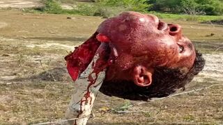 Taxi Driver Decapitated, Head Impaled on Wooden Fence Stake