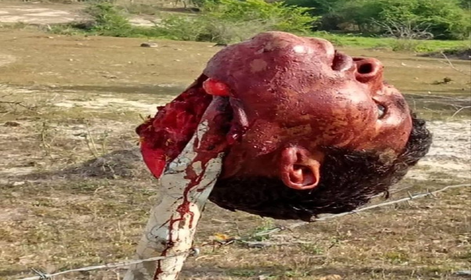 Taxi Driver Decapitated, Head Impaled on Wooden Fence Stake