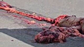 Woman on Scooter Pulverized by Truck – Body Left in Pieces on the Asphalt