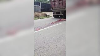 Woman on Scooter Pulverized by Truck – Body Left in Pieces on the Asphalt