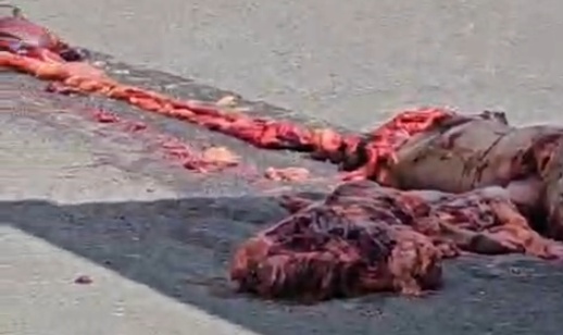Woman on Scooter Pulverized by Truck – Body Left in Pieces on the Asphalt