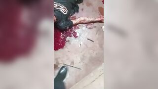Gruesome Family Murder: Sickle Used to Slit Brother's Throat in Brazil