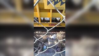 Man Crossing Tracks Gets Killed By The Train