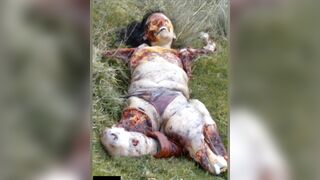 Gore Photo Compilation