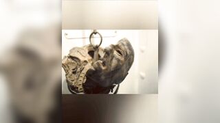 Gore Photo Compilation