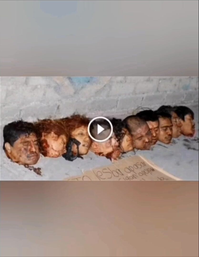 Gore Photo Compilation