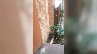 Illegal foreigner jumps off the building  running away from deportation