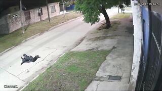 Nighttime Horror: Critical Shooting of Young Man Evading Robbers