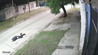 Nighttime Horror: Critical Shooting of Young Man Evading Robbers