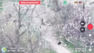 Ukrainian kills his friend and tries to hide the body.