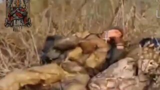 Sleeping Ukrainians vs. drone.