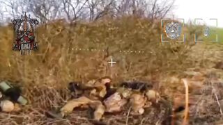 Sleeping Ukrainians vs. drone.