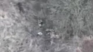 Sleeping Ukrainians vs. drone.
