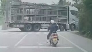 Slow Thinking Rider Crashes Into The truck Head First