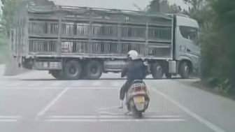 Slow Thinking Rider Crashes Into The truck Head First