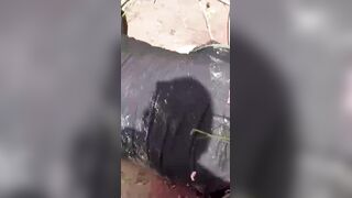 Workers In Brazil Found A Victim Of A Brutal Murder