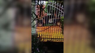 Man Gets Run Over By Security Company Truck In Paraguay