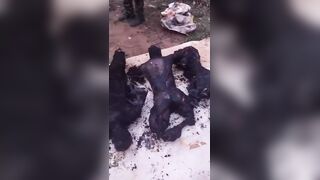 Traditional Ruler, Five Others Killed And Burned By Gunmen In Nigeria