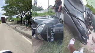 Life ends as a smear on the pavement