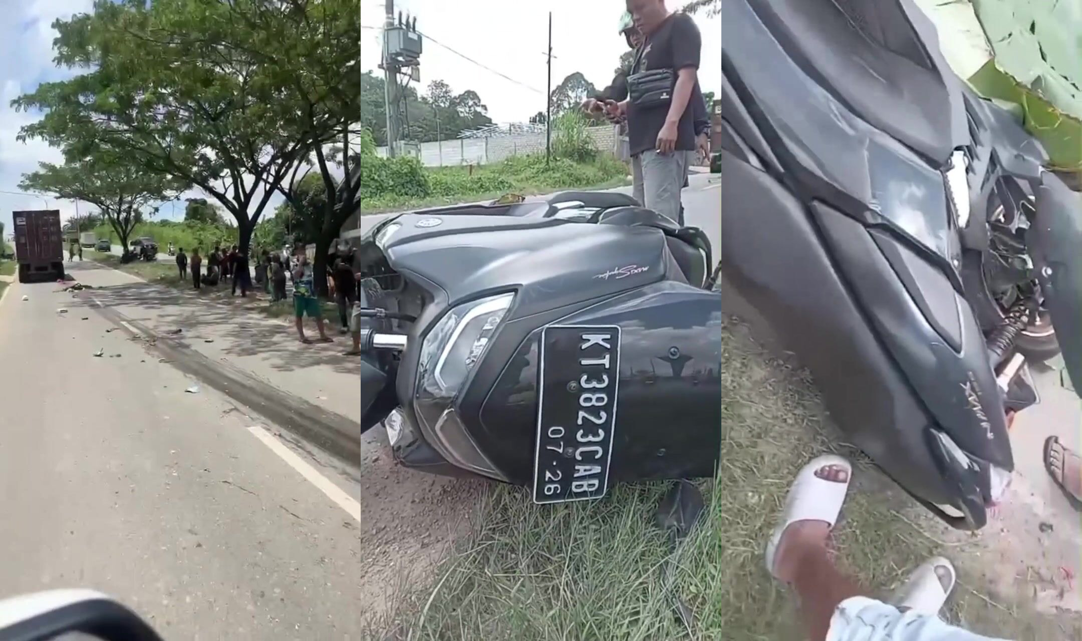 Life ends as a smear on the pavement