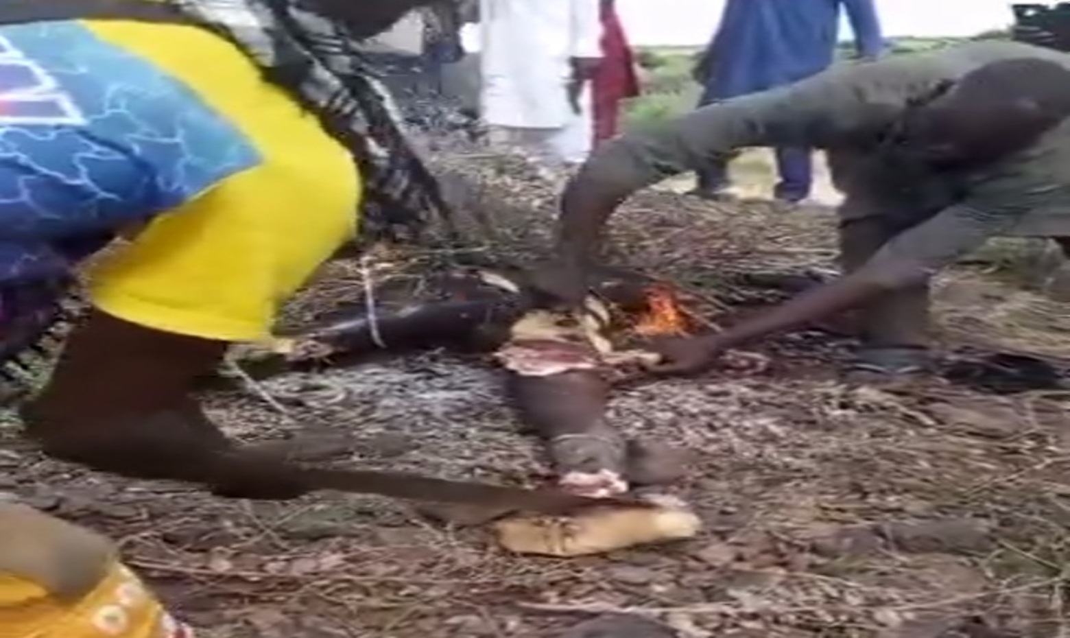Classic: Nigeria's Cannibal Gang: Rivals Murdered, Burned Alive and Devoured in Gruesome Feast