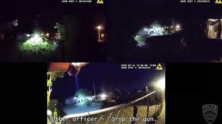 Arizona man killed in police shooting pointed BB gun at officers