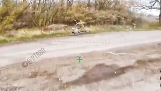 Ukrainian bitch gets droned.