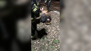 Young woman hit by train in Moscow region
