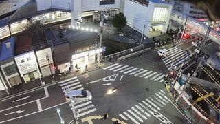 A fatal traffic accident in Japan