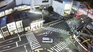 A fatal traffic accident in Japan